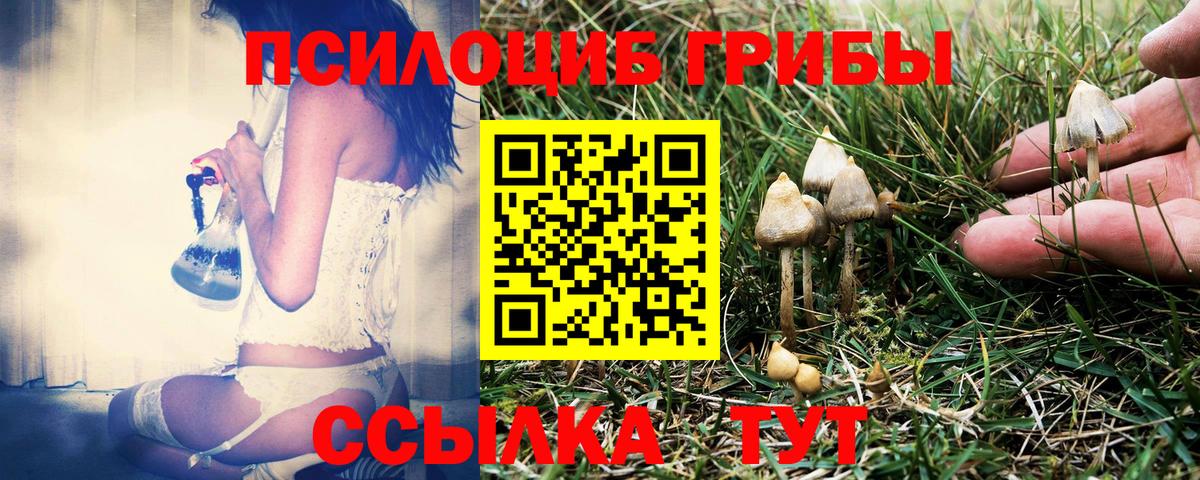 Псилоцибиновые грибы MAGIC MUSHROOMS Губкинский
