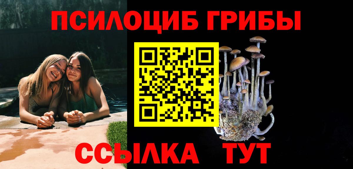 Галлюциногенные грибы прущие грибы  Псилоцибиновые грибы Psilocybe  Губкинский  Вход с VPN 