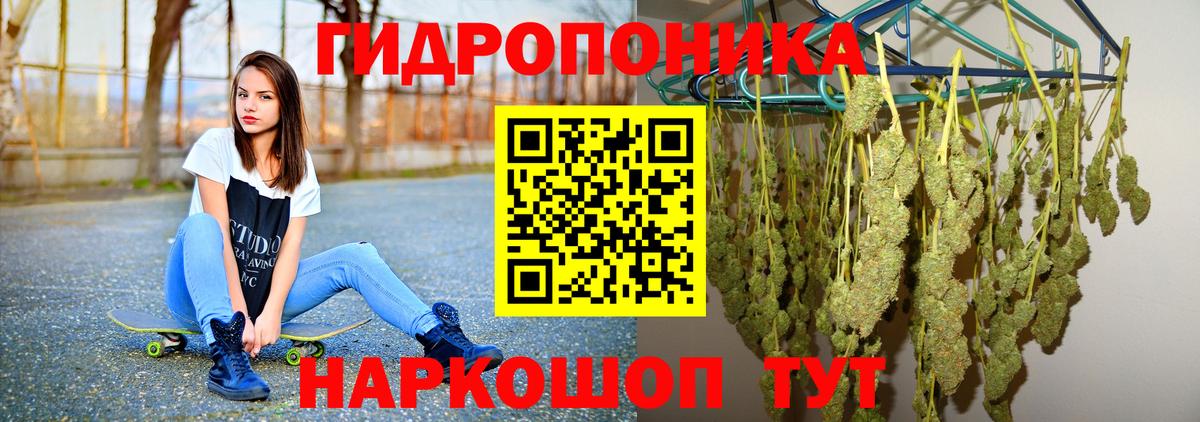 Губкинский  МАРИХУАНА план  Вход с VPN  Конопля MAZAR  Канабис White Widow 